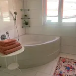 Extraschoen - Dachgeschoss Apartment Lindau (Bodensee)